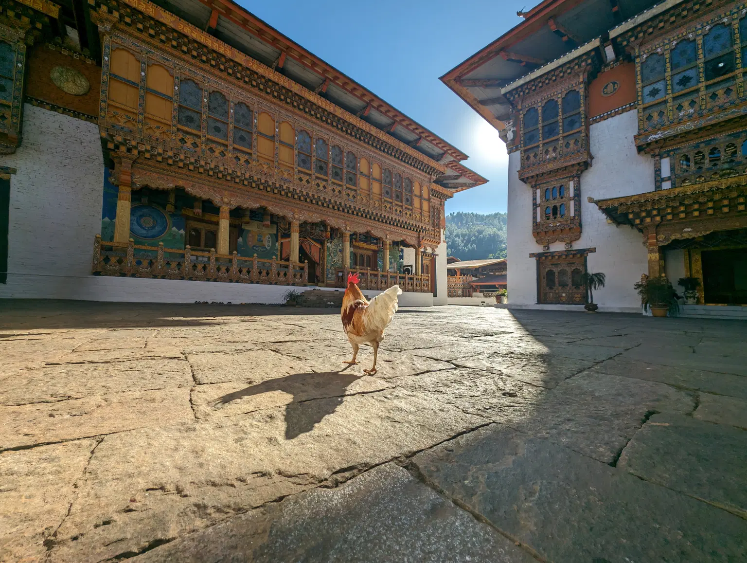 Photo from Sudindra Rao's trip
