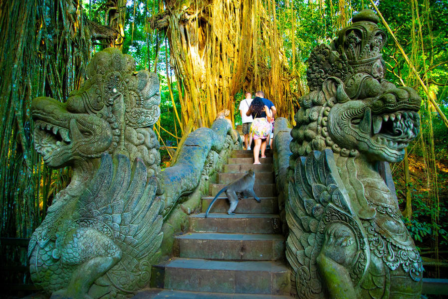 Ubud Day Trip from Seminyak Image