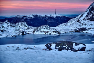 D1t1qacp2ski210oo25bisoyqoyn 1615627768 shutterstock 1870766551