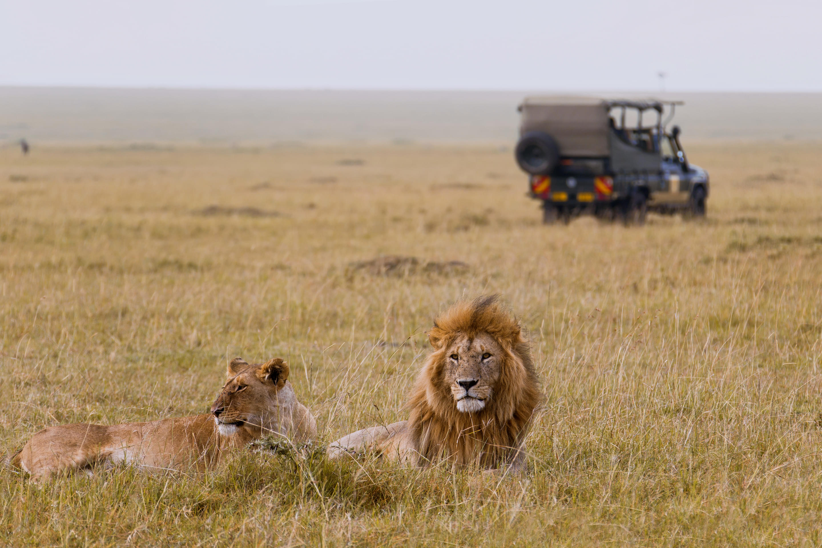 Maasai Mara National Reserve Overview