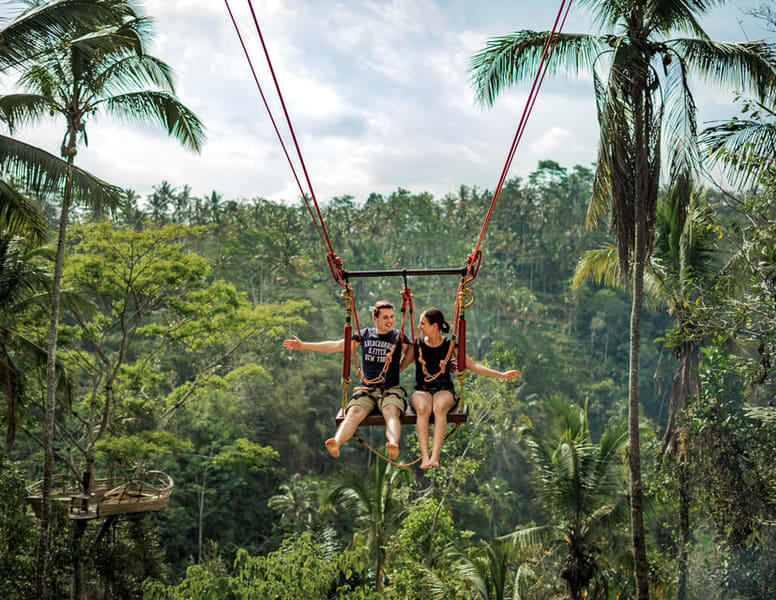 Bali Swing and Waterfall Full Day Tour Image