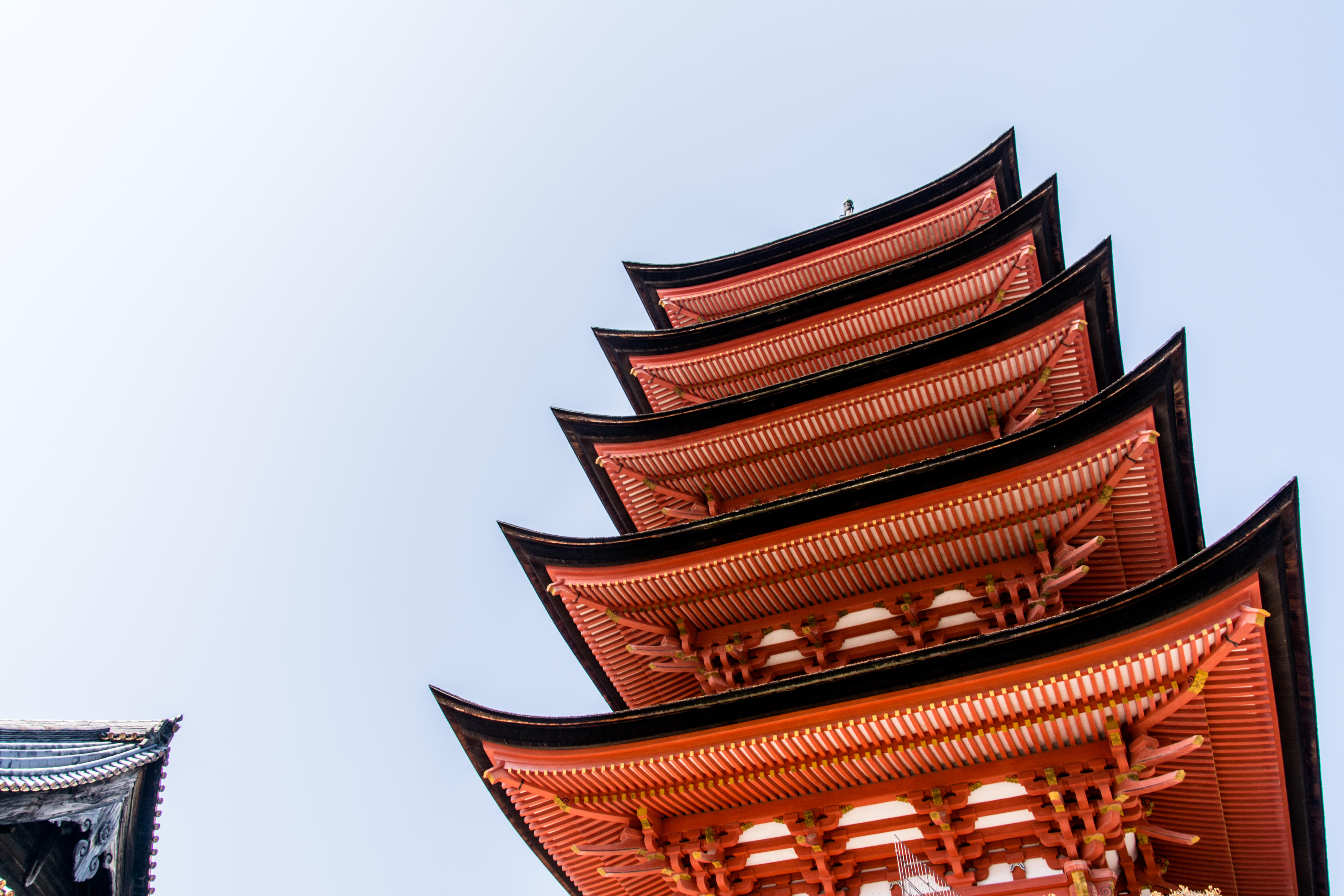 Admire the Architectural Design