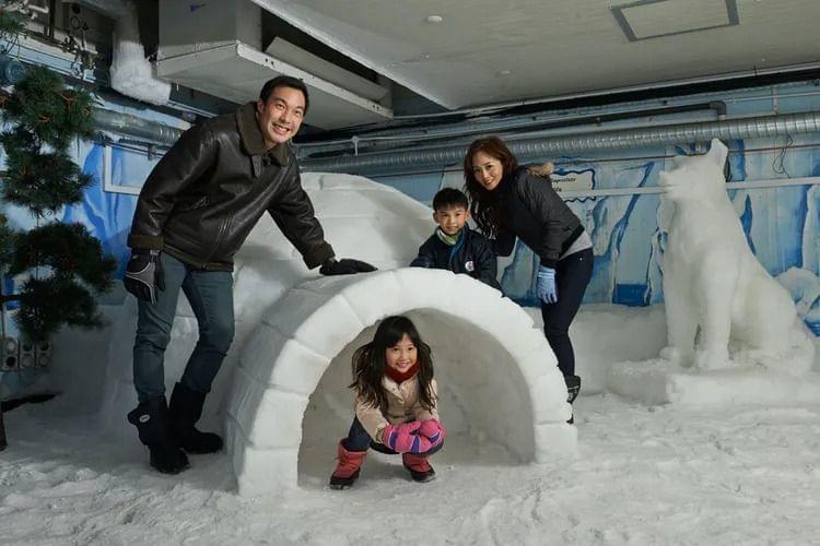 Snow Fun House
