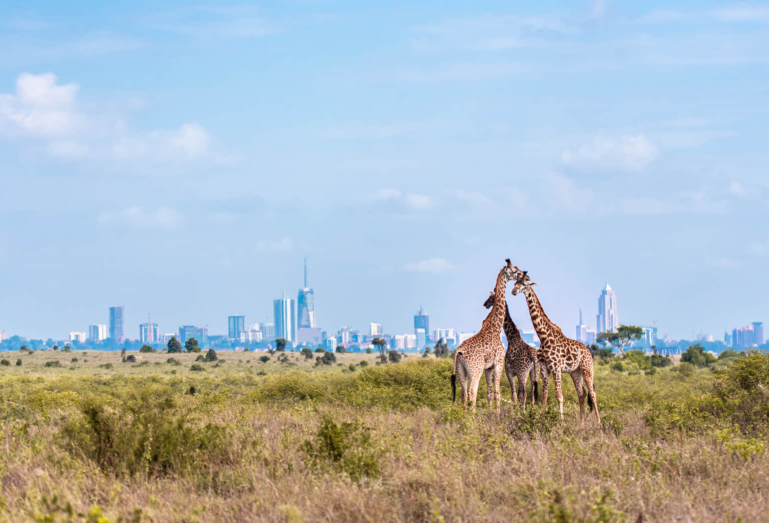 <em>Nairobi</em> Tour Packages From Pune 