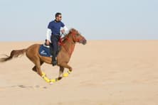 Enjoy horse riding like a pro
