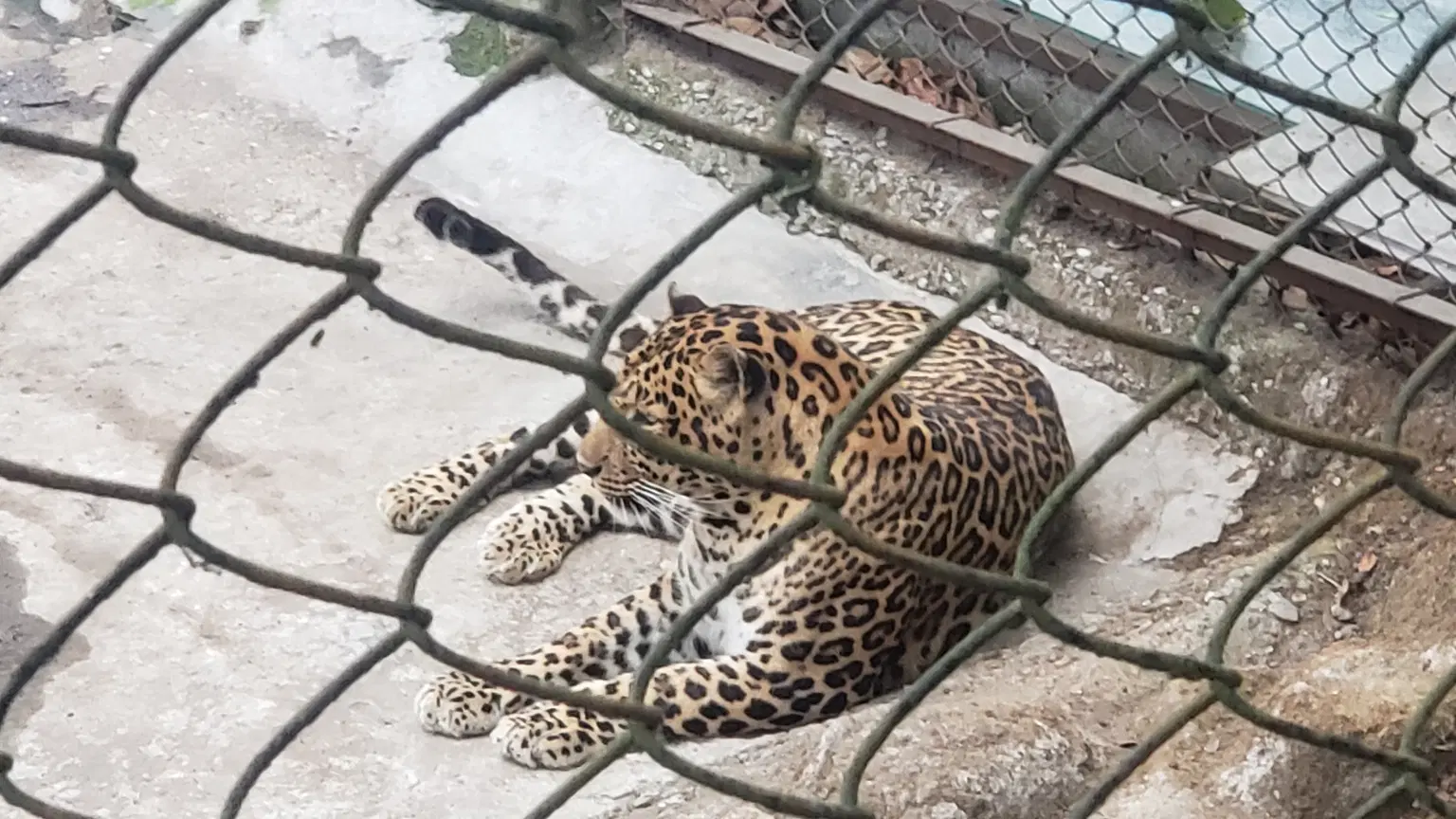 Photo from SUNIL  .'s trip