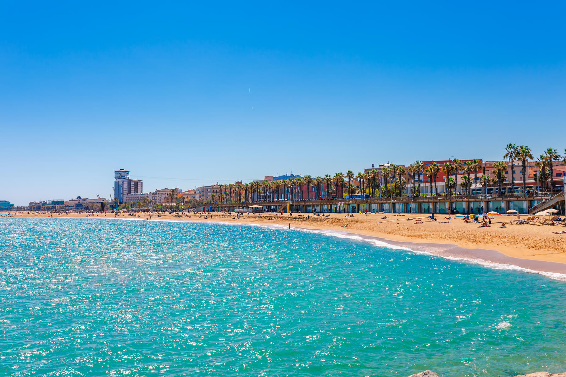 The beautiful beach of the Barceloneta