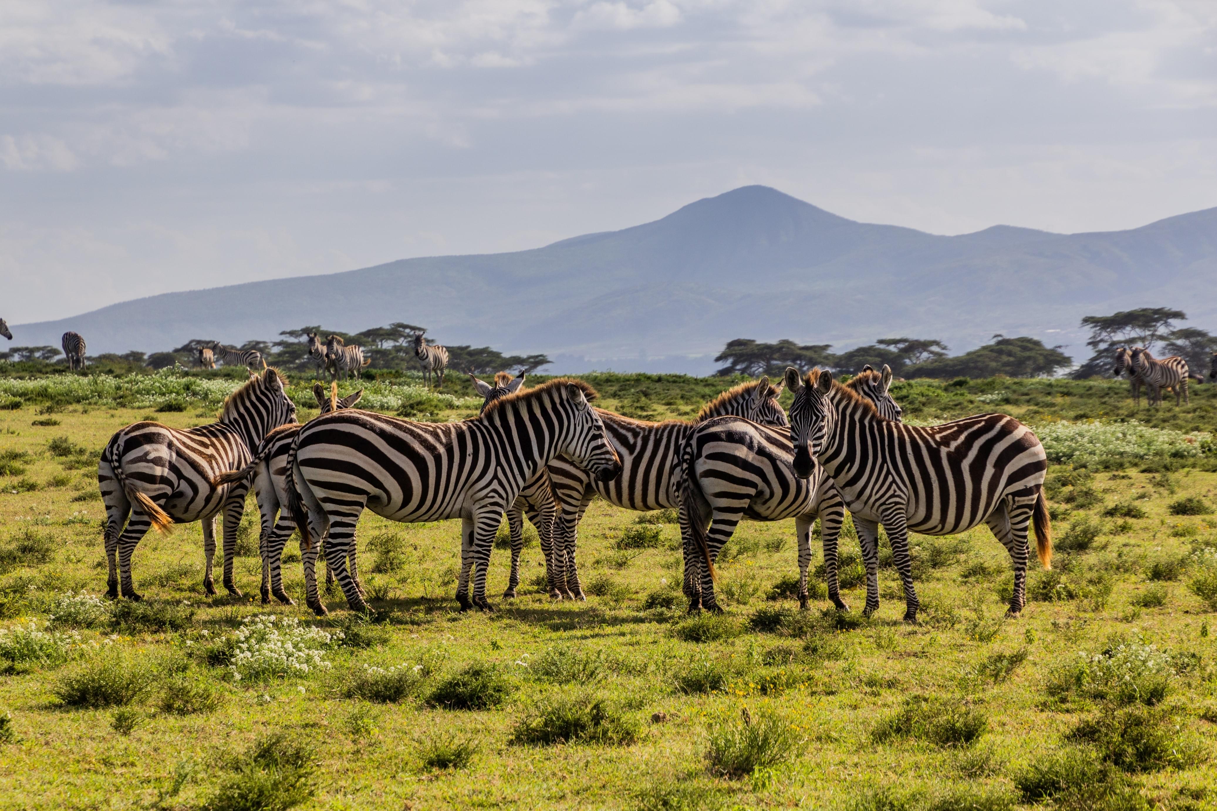 Naivasha Tour Packages | Upto 40% Off