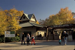 Explore Zoo Atlanta, a conservation-focused wildlife park home to over 1,000 animals