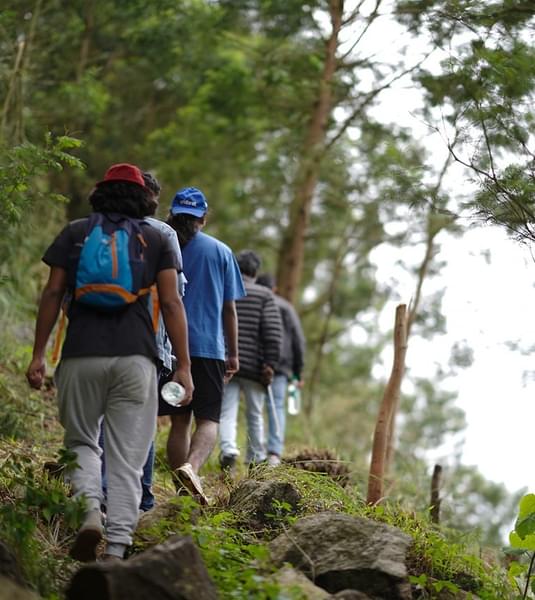 Luxury Camping in Munnar Image