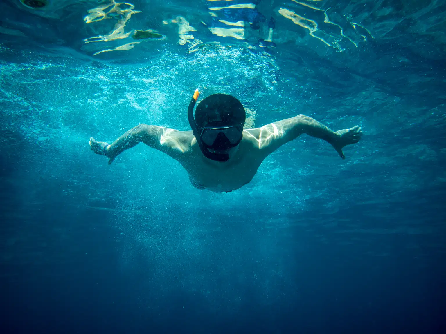 Snorkeling in Phi Phi Island