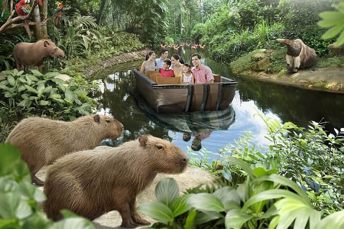 Amazon River Quest