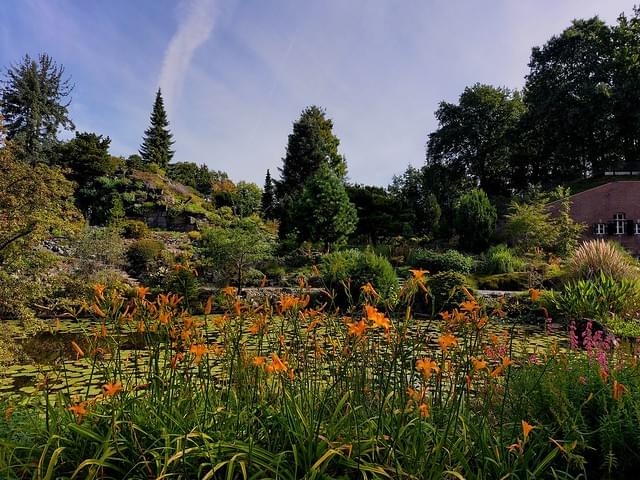 Tour the different sections of the garden