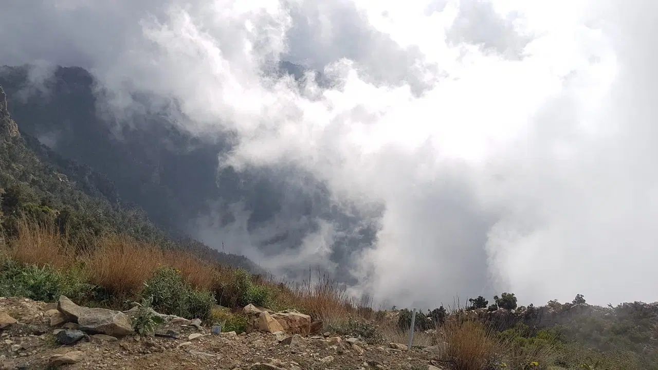 Asir National Park