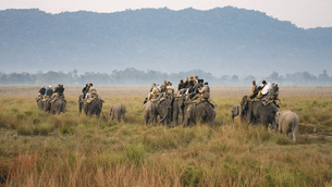 D4n5aewnroif2bejntpuouspnu21 5da04d19d0e67 kaziranga national park attractions%20(1)