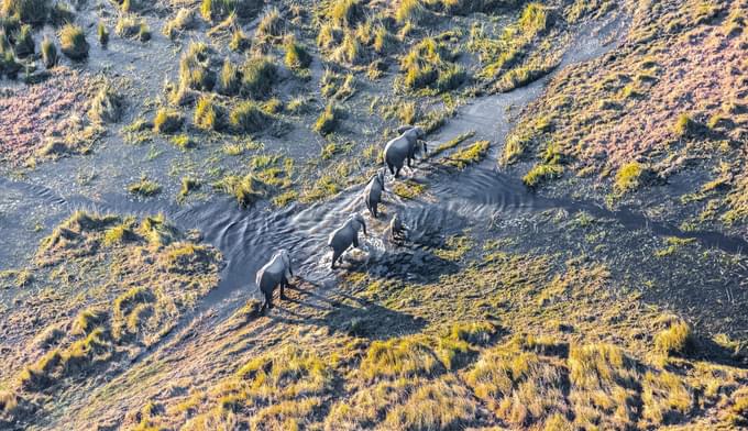 Okavango Delta