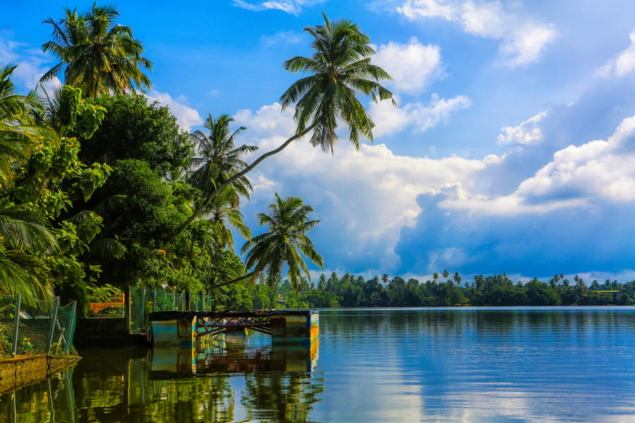 Scuba Diving in Bentota Image