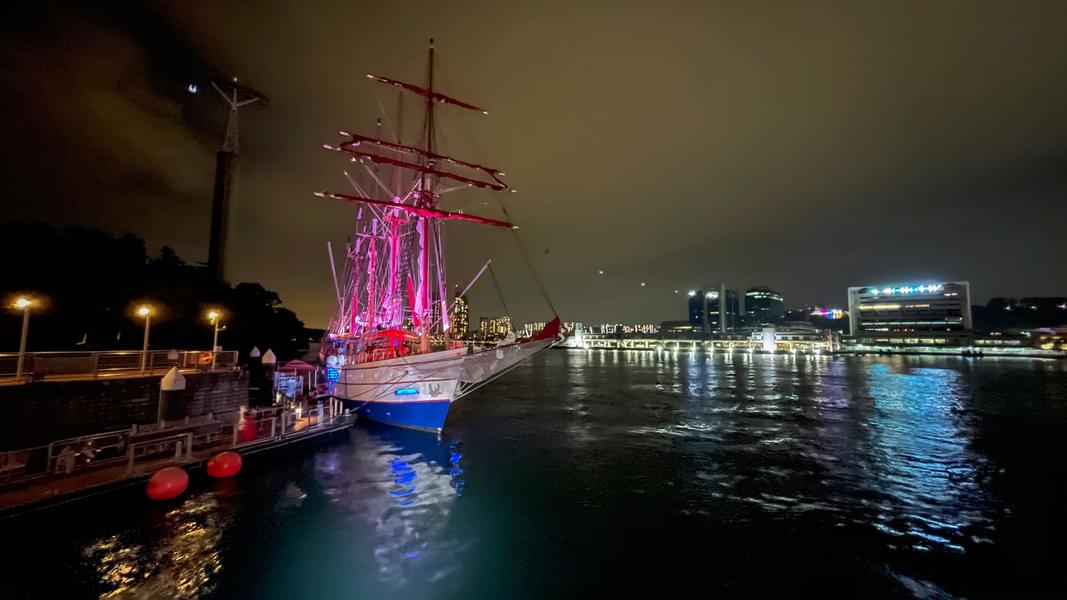 Sail on Royal Albatross Sunset Cruise