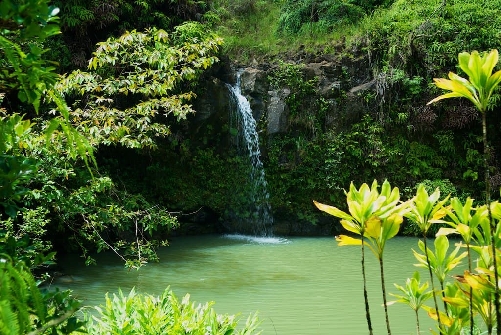 Pua'a Ka'a State Wayside Overview