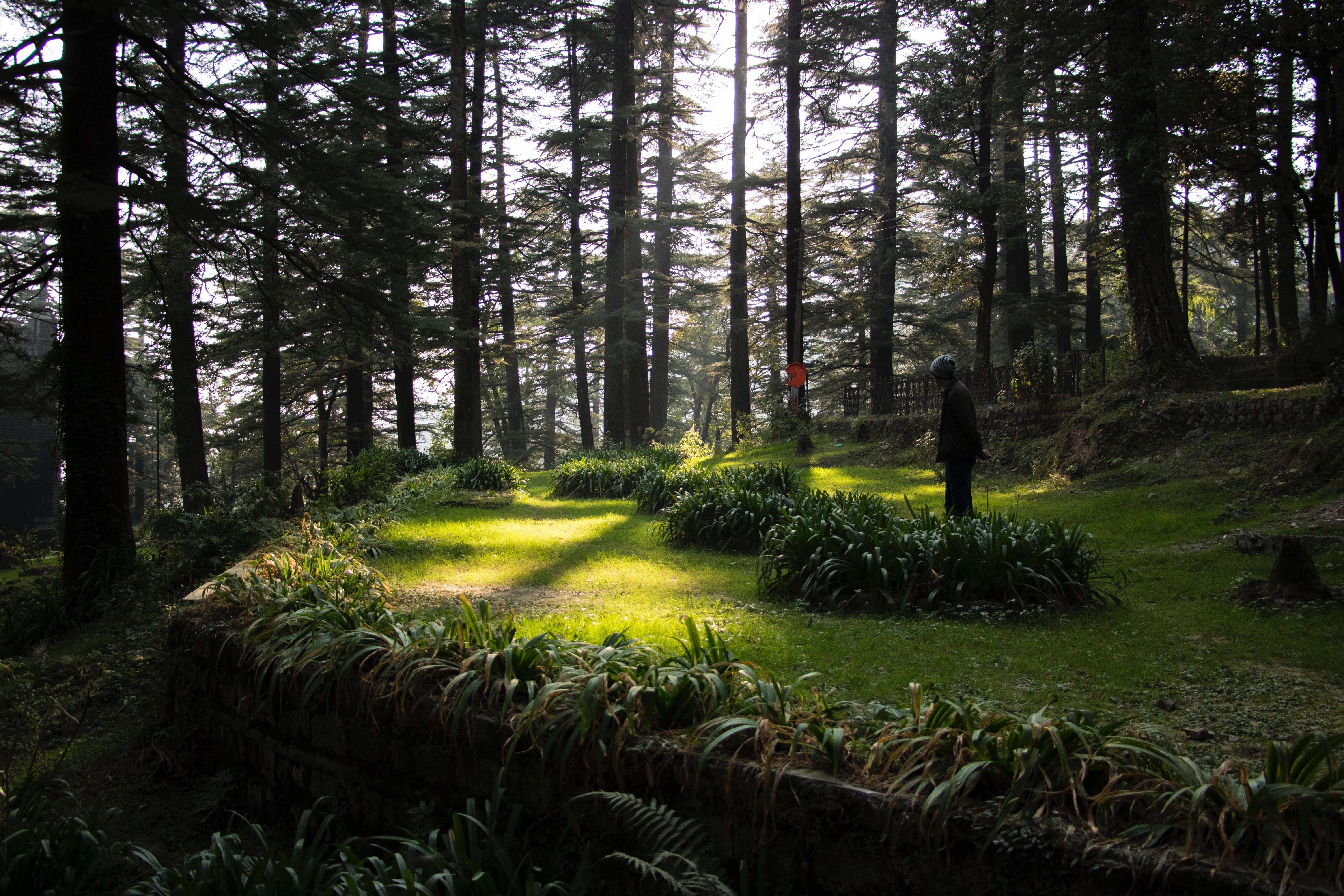 Things to Do in Dharamshala