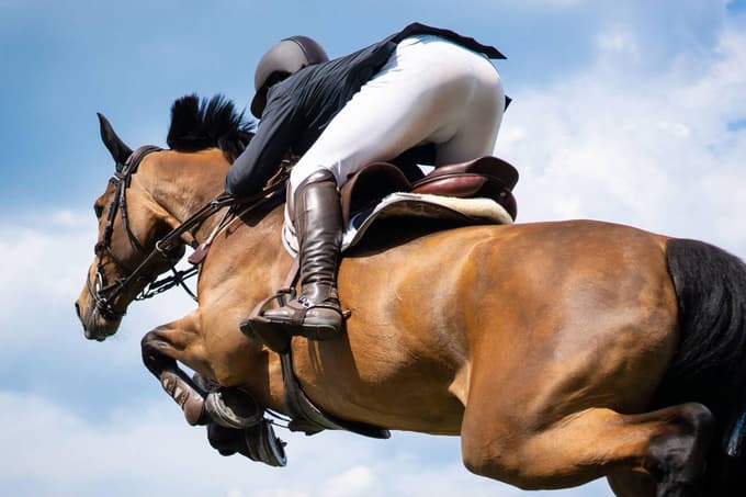 Participate in a 30-minute ridding session designed for both first-timers and hobbyists