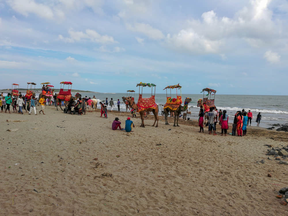 Somnath Beach, <em>Gir Somnath</em>