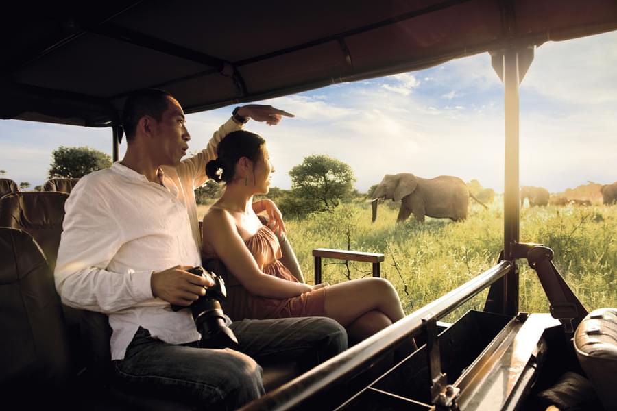 Romantic Escapade to South Africa Image