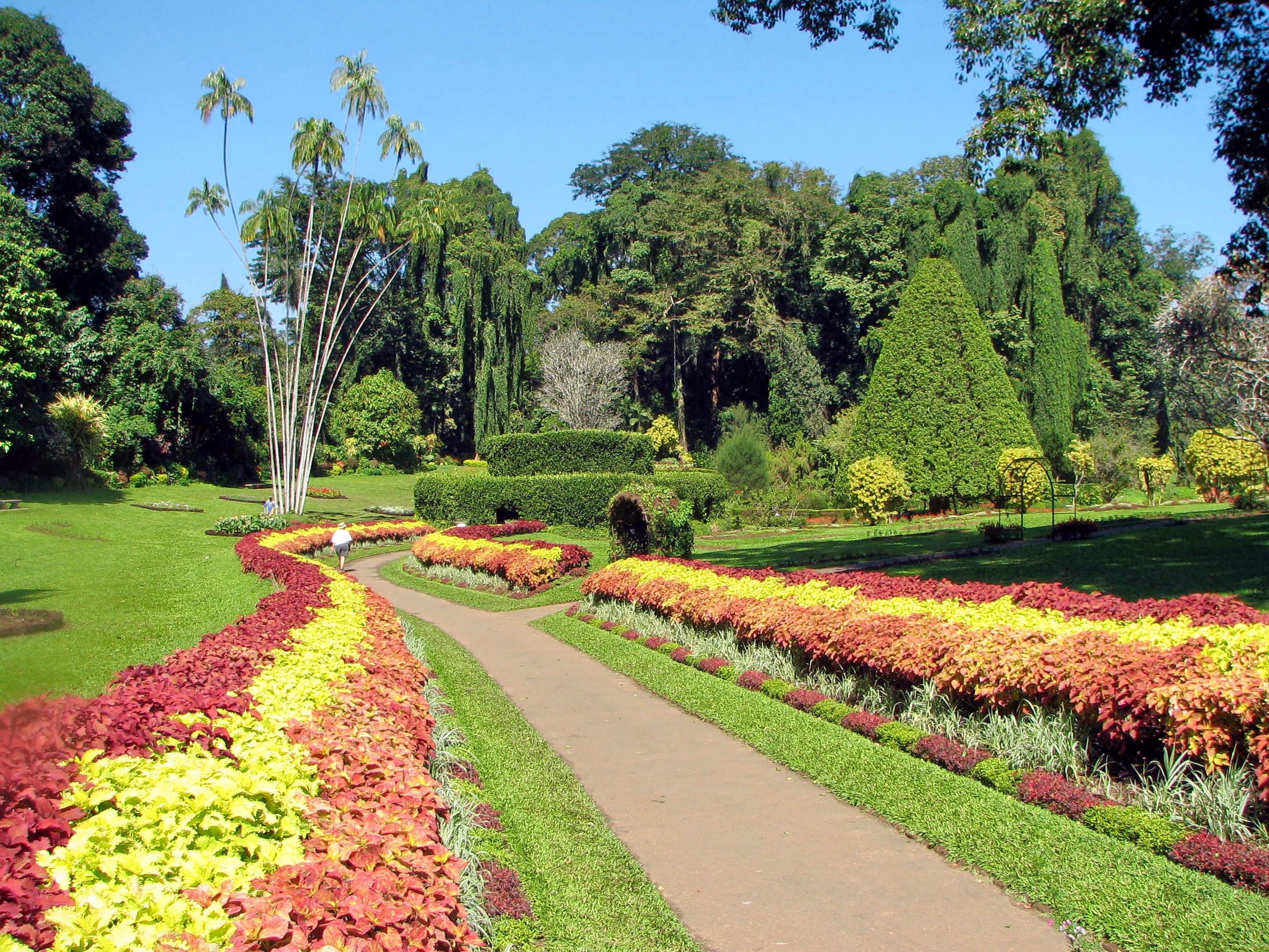 Botanical Garden Overview