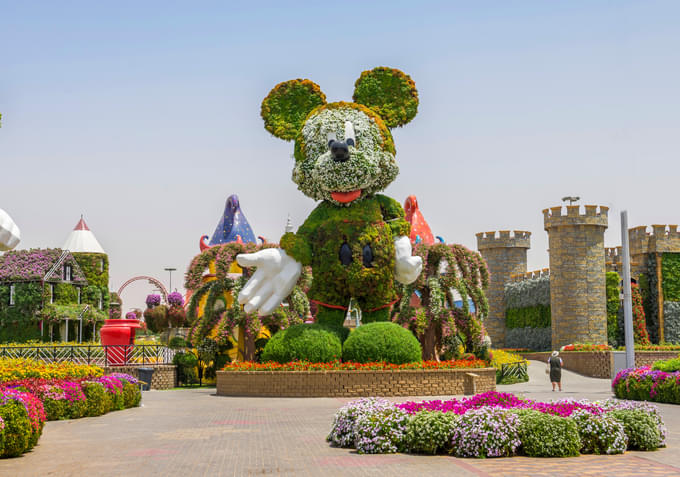 Miracle Garden Dubai Images