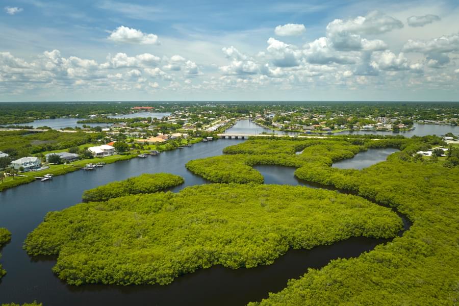 Panoramic view of Everglades National Park