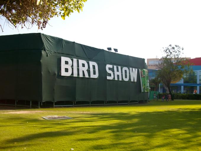 bird show dubai