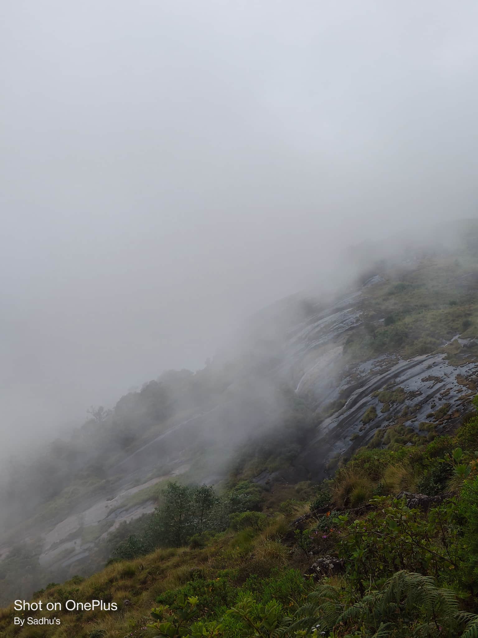 Photo from Satya Sadhu's trip