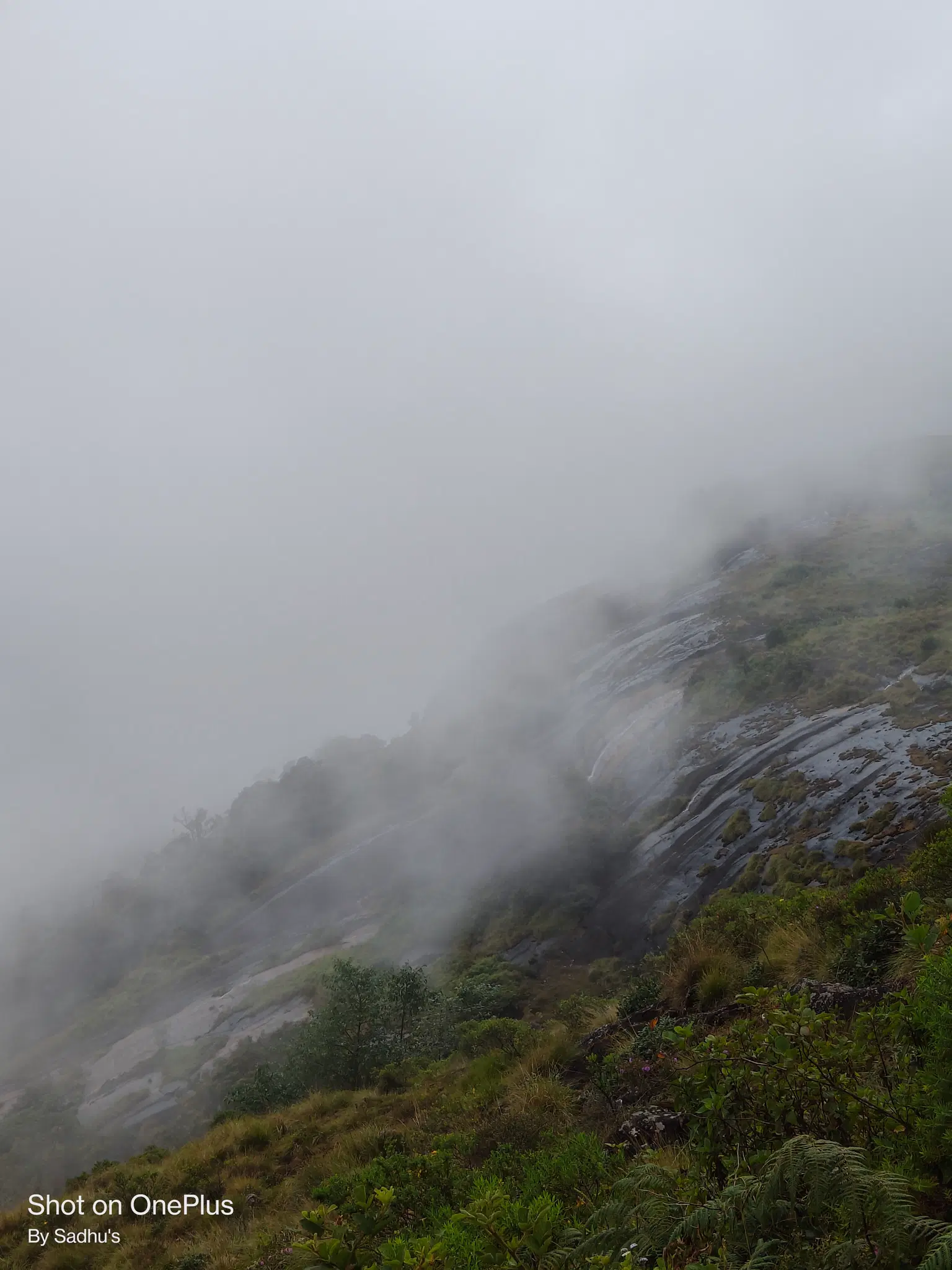 Photo from Satya Sadhu's trip
