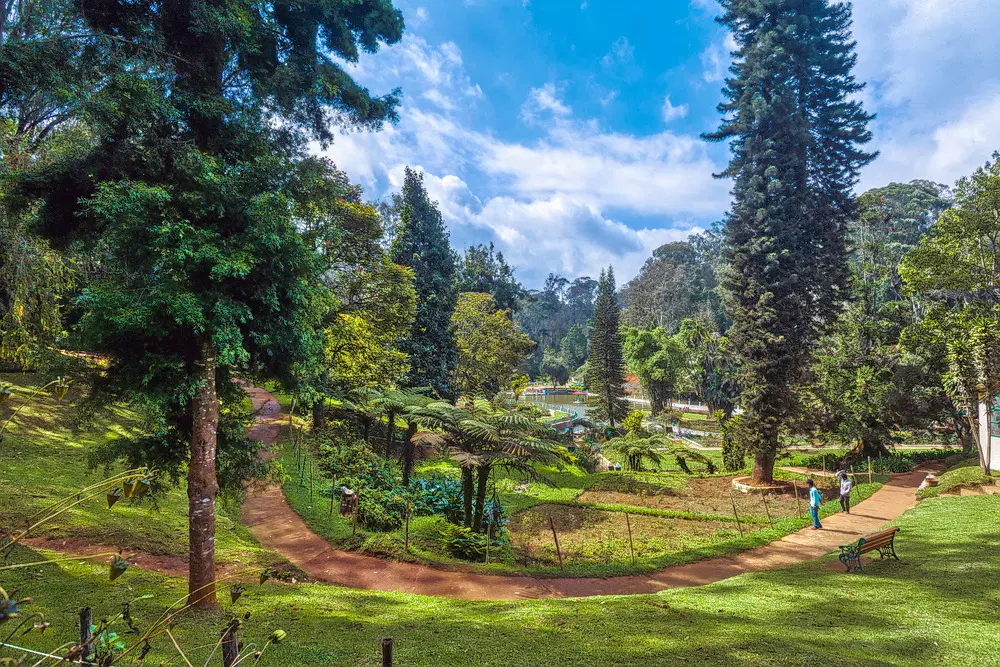 Sim’S Park