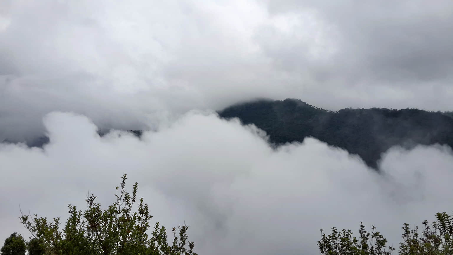 Photo from Anshula Bharadwaj's trip