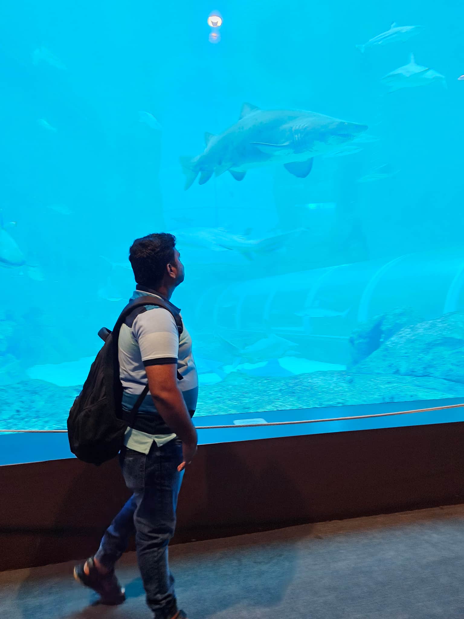 Photo from Vikram Kale's trip