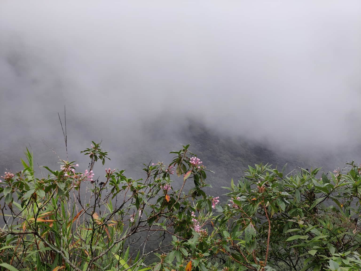 Photo from Vishwasshetty Vishwas's trip