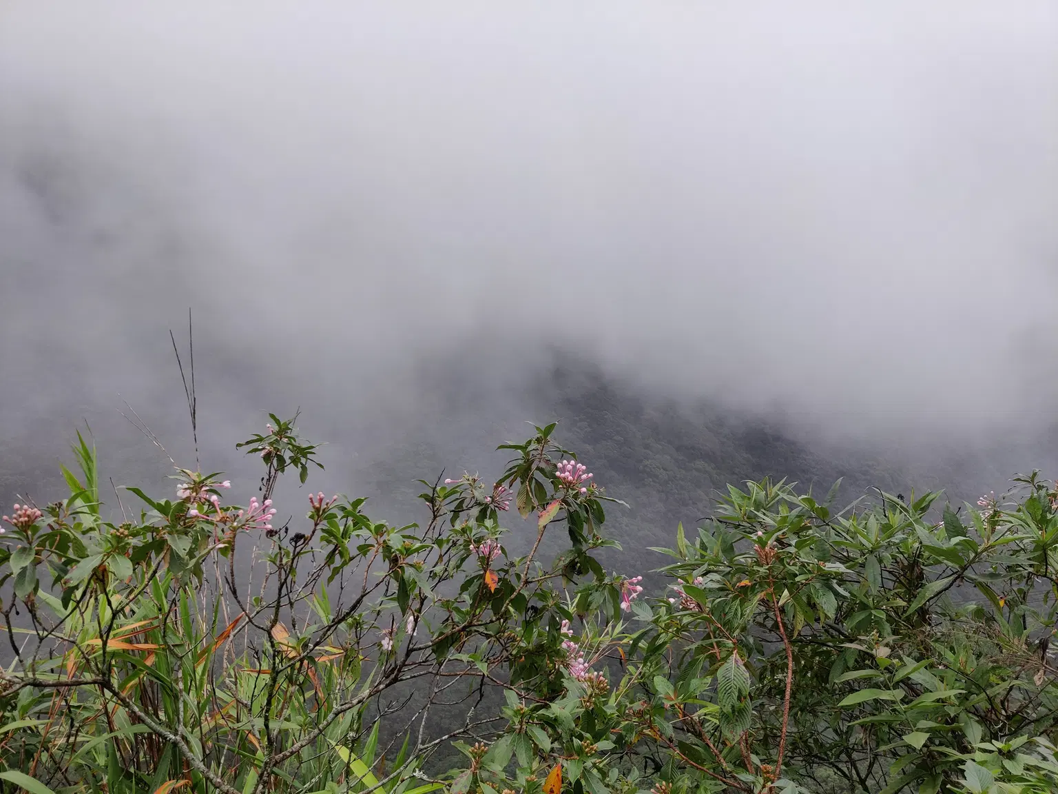 Photo from Vishwasshetty Vishwas's trip