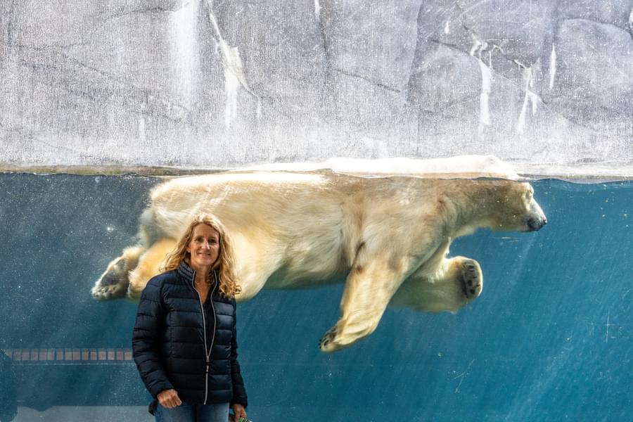 Meet the residents of the Artic world