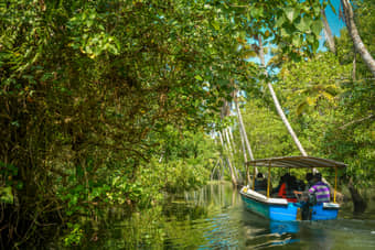Navigate narrow waterways surrounded by nature’s splendour