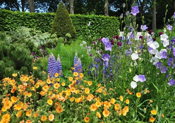 See The Chelsea Flower Show