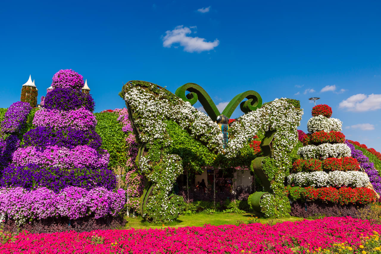 Butterfly Garden Dubai
