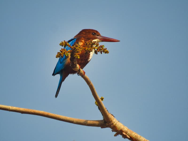 Mount Abu Family Package Image