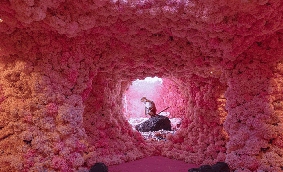 Mercer Labs Tickets Image