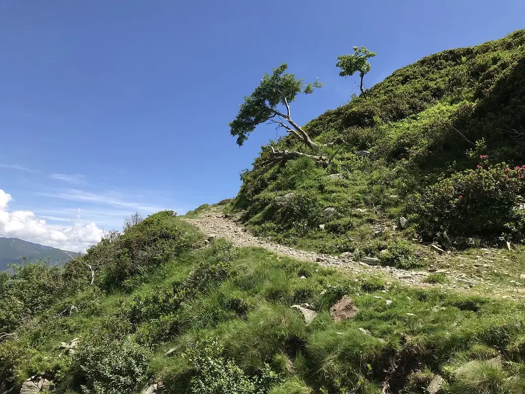 Mount Kinabalu, <em>Malaysia</em>