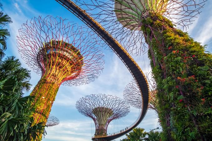 gardens by the bay OCBC Skywalk