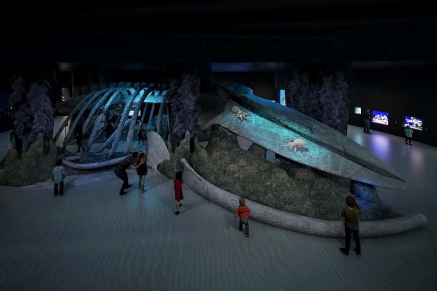 Singapore Oceanarium Tickets Image