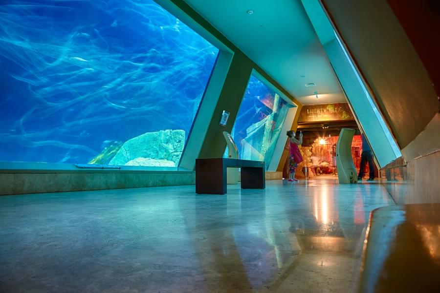 Sealife Aquarium Istanbul