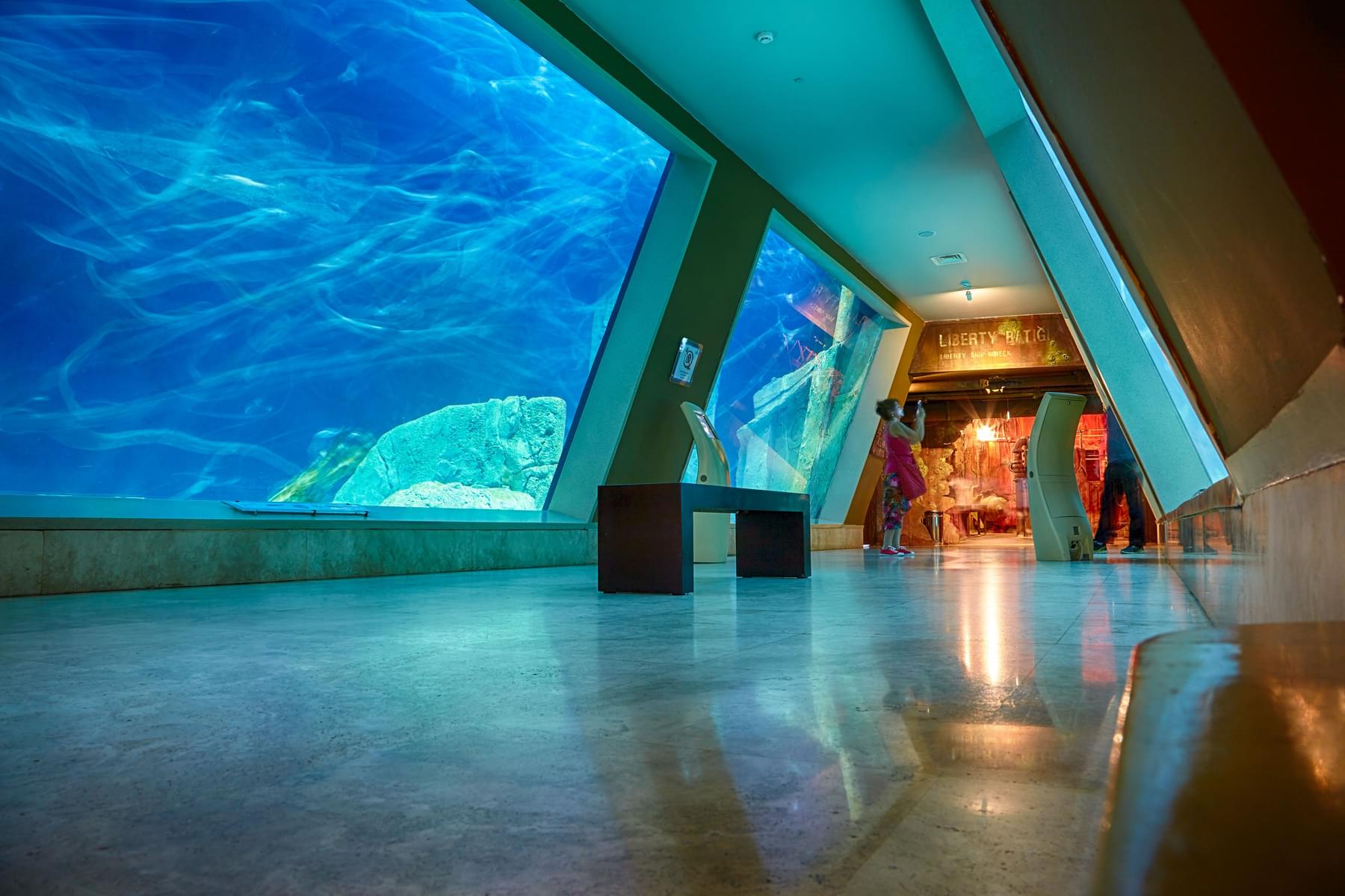 Explore Sealife Aquarium Istanbul
