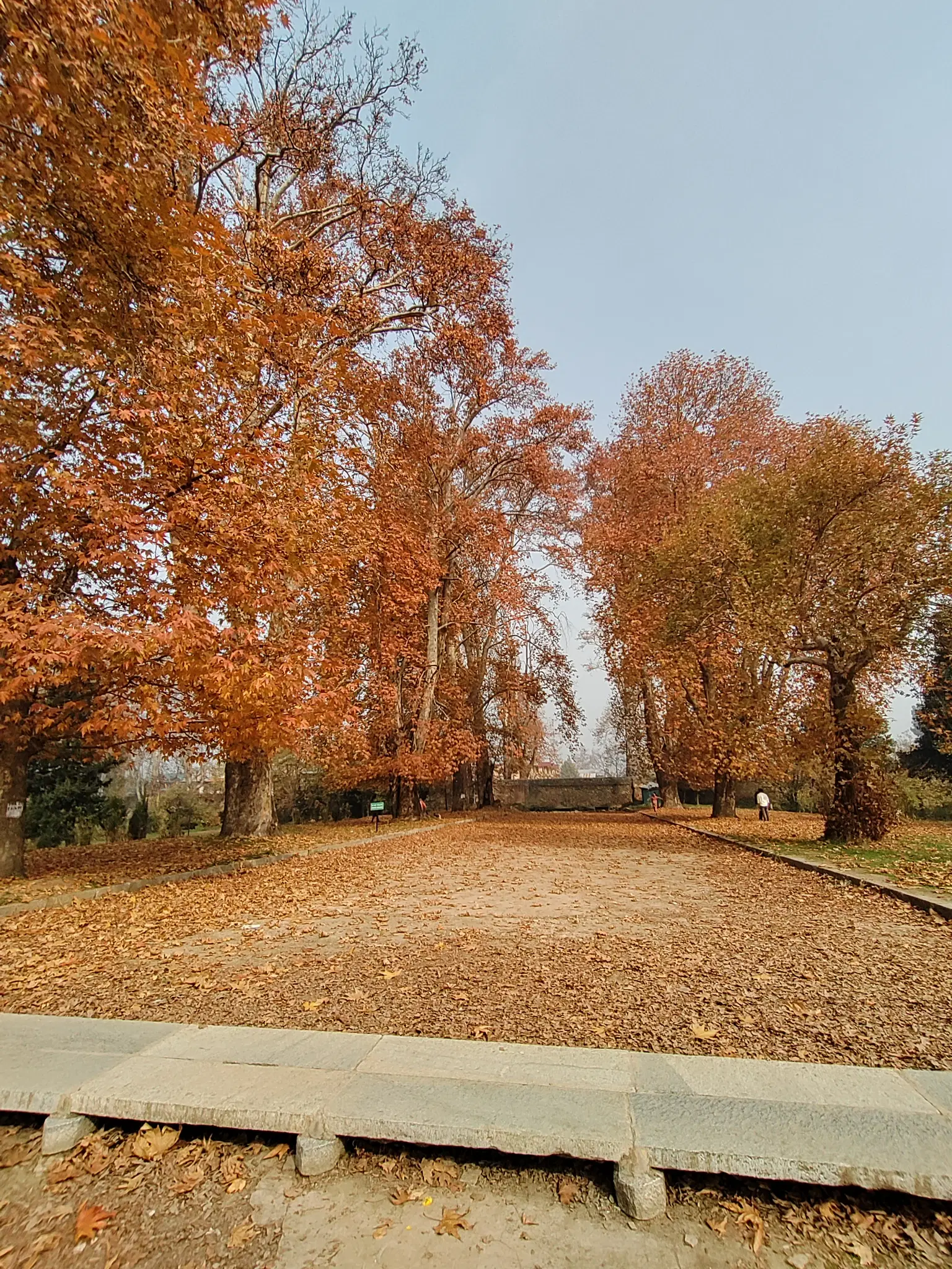 Photo from Muskaan Ahuja's trip